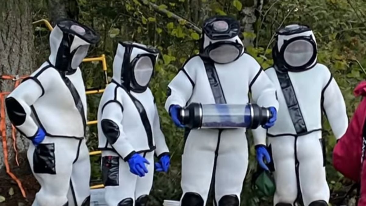 Zespół specjalistów zniszczył gniazdo szerszeni