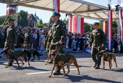 Zwierzęta na defiladzie. Wojsko wydało komunikat