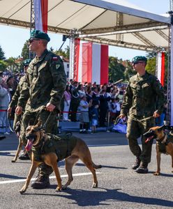 Zwierzęta na defiladzie. Wojsko wydało komunikat