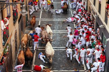 Śmiertelny wypadek na gonitwie byków. Nie żyje 30-latek