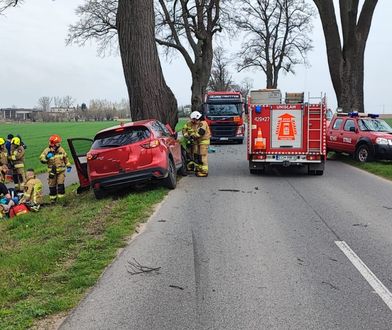 Mazdą czołowo w drzewo. Nie żyje kierowca