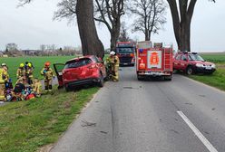 Mazdą czołowo w drzewo. Nie żyje kierowca