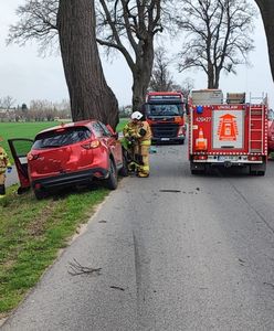 Mazdą czołowo w drzewo. Nie żyje kierowca