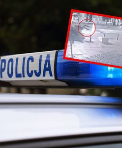 W nocy potrącił człowieka i uciekł. Szokujące nagranie