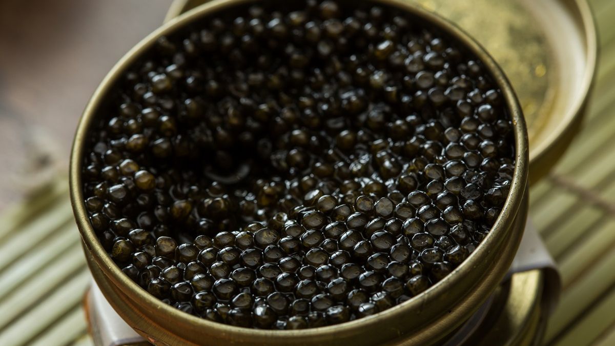 Jakie właściwości ma kawior?