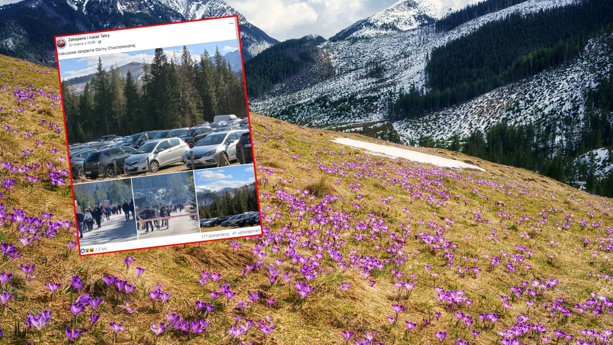 Dolina Chochołowska przyciąga turystów 