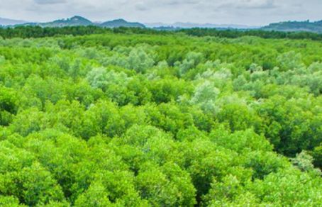 Polacy coraz bardziej zwracają uwagę na ochronę klimatu