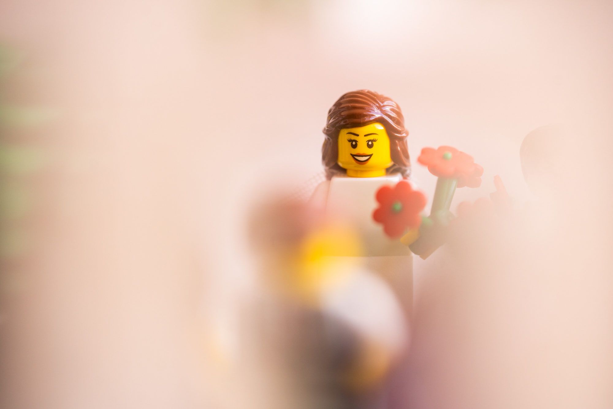 Ślub z klocków LEGO, czyli niesamowita kreatywność podczas kwarantanny 9
