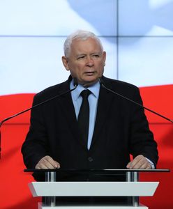 Piątka dla zwierząt już w Sejmie. PiS planuje kolejny projekt ustawy prozwierzęcej