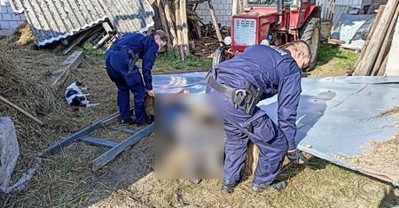Usłyszał wołanie sąsiada. "Być może uratował mu życie"