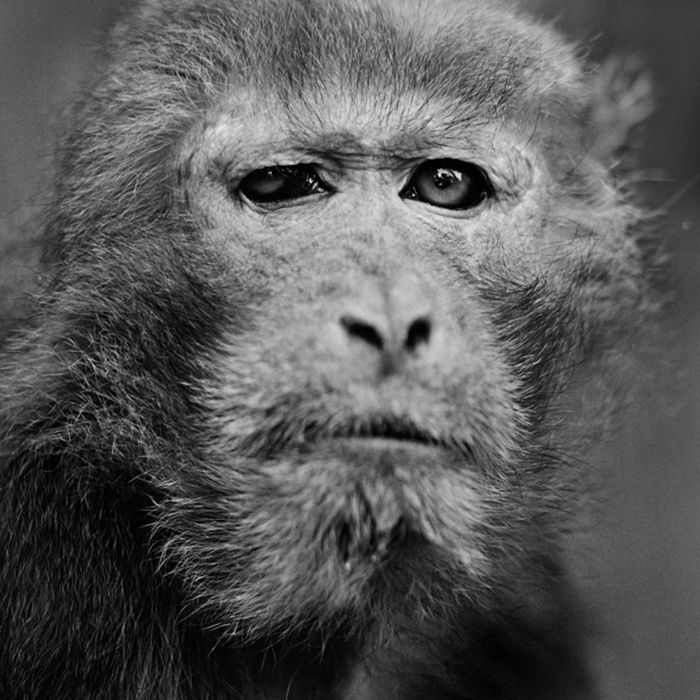 Spotkanie autorskie z Jackiem Kuszem - zwycięzcą Sony World Photography Awards 2
