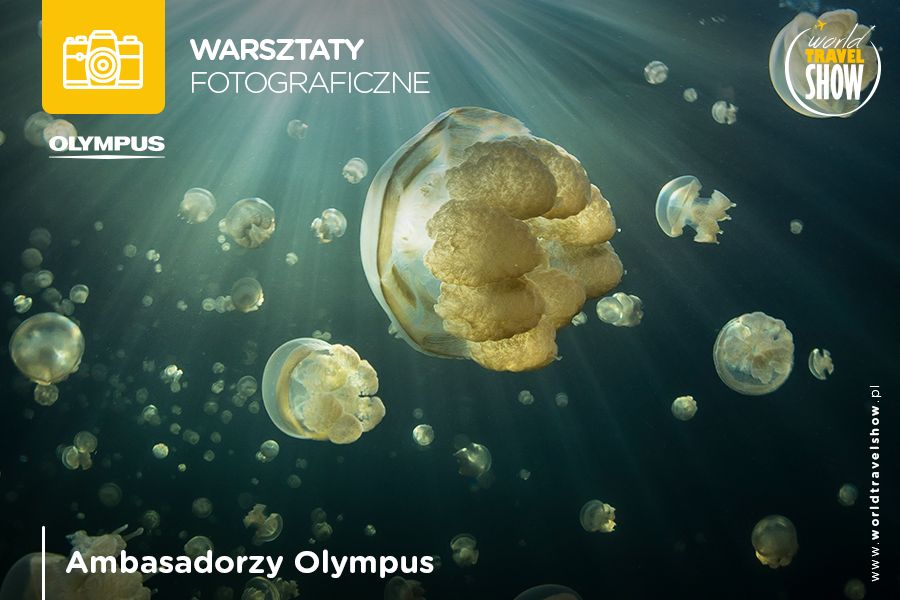 40 warsztatów Olympusa czeka na Was na targach World Travel Show w Nadarzynie 1