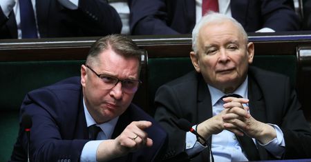 Afekt Czarnka [OPINIA]