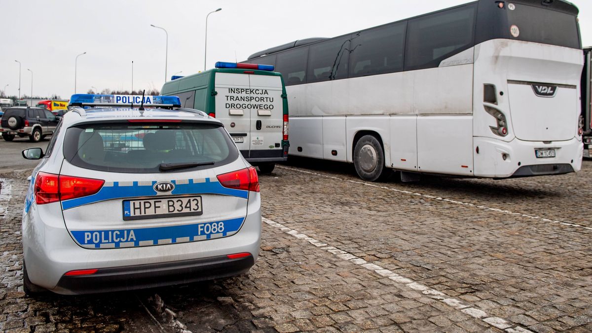 Policja oraz Inspekcja Transportu Drogowego kontrolują autokary zwłaszcza w okresie wakacji i ferii zimowych