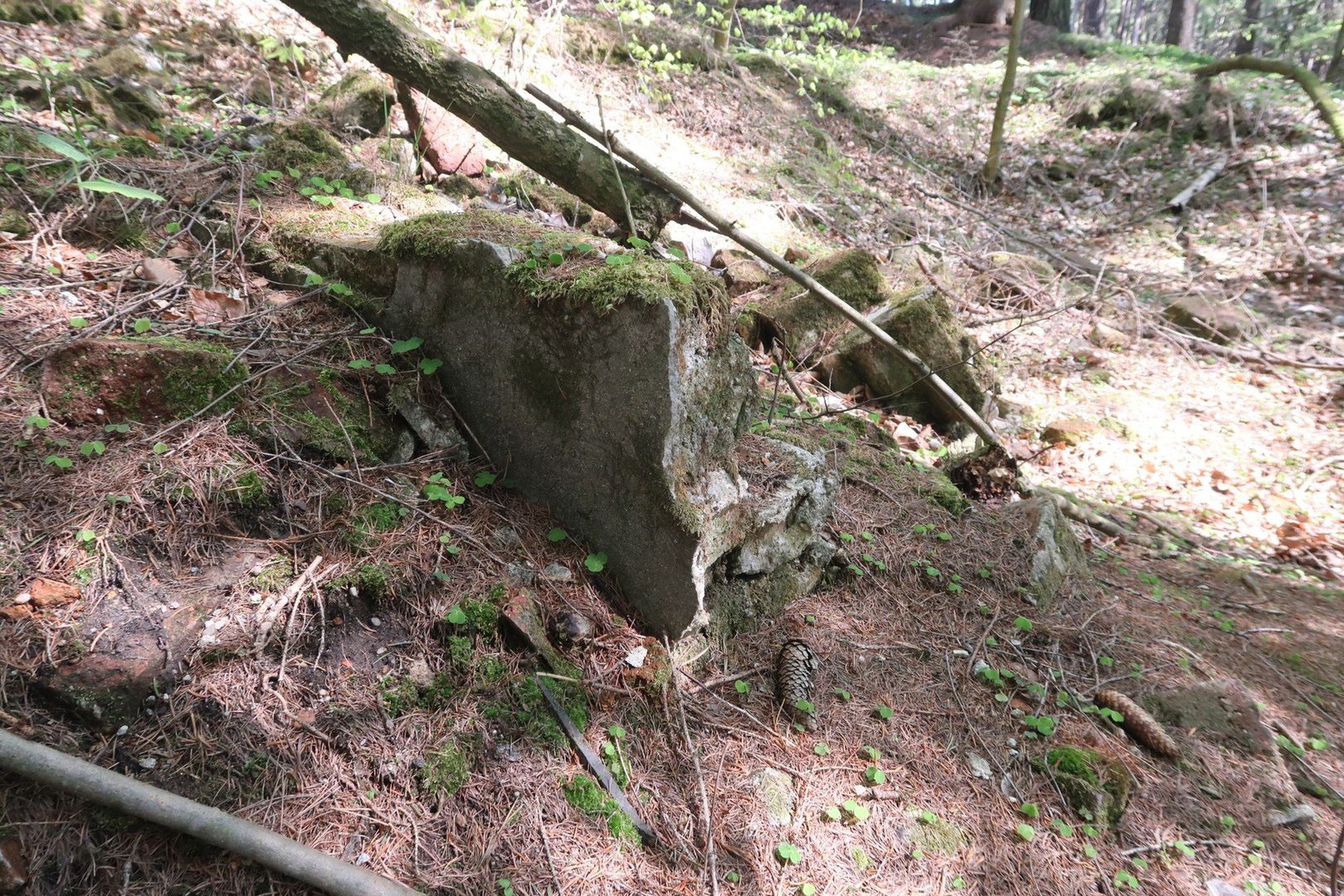 Fragment muru, część fundamentu, garść cegieł i kamieni...