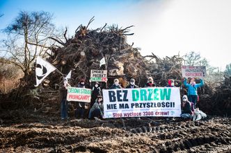 Kra­ków Nowa Huta Przy­szło­ści. Rozpoczęła się wycinka drzew