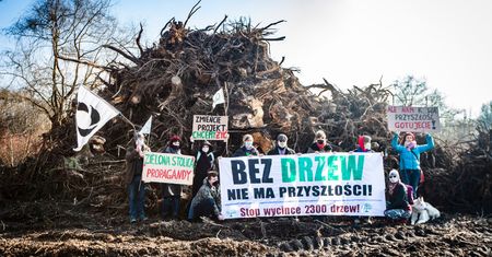 Kra­ków Nowa Huta Przy­szło­ści. Rozpoczęła się wycinka drzew