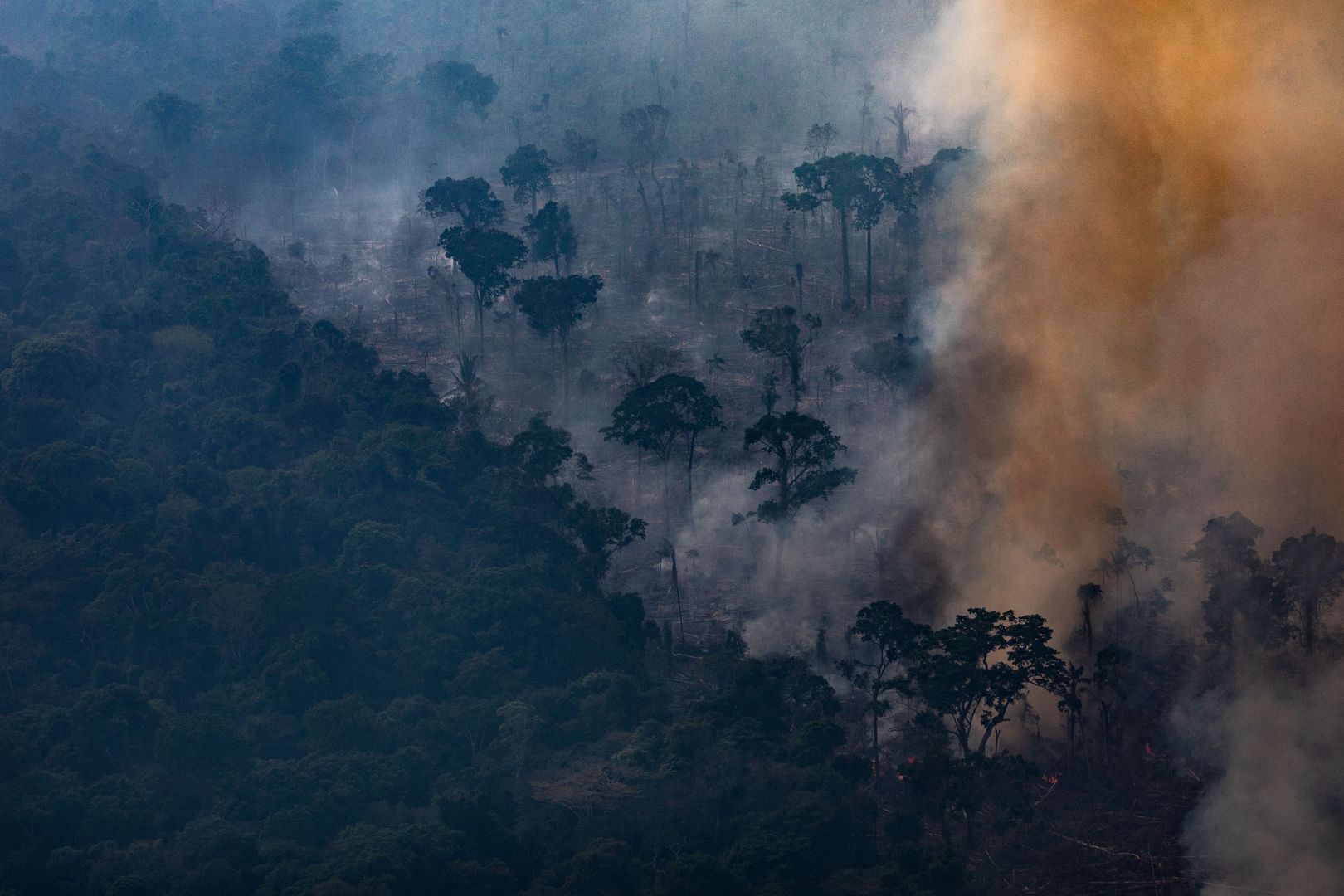 Lasy deszczowe Amazonii w czasie pożaru w 2019 roku