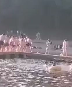 Głupia zabawa młodzieży nad jeziorem. Mogło skończyć się tragedią
