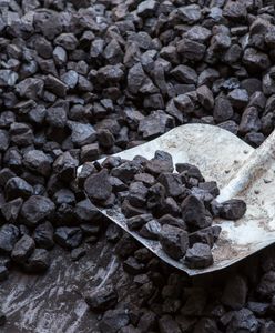 Ile kosztuje tona węgla? Sprawdziliśmy ceny w sklepie PGG