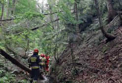 Śląskie. Chwile grozy w lesie. Drwal cudem uratowany