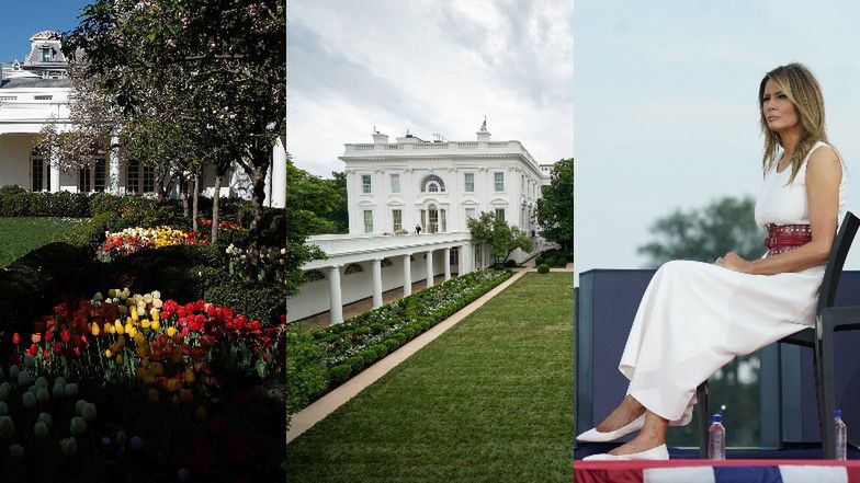 Melania Trump skrytykowana za zmiany w ogrodzie różanym w Białym Domu