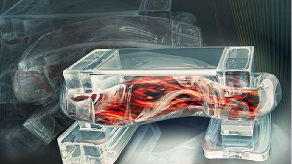 Nadchodzą bioroboty. Zbudowano maszynę z żywej tkanki 1