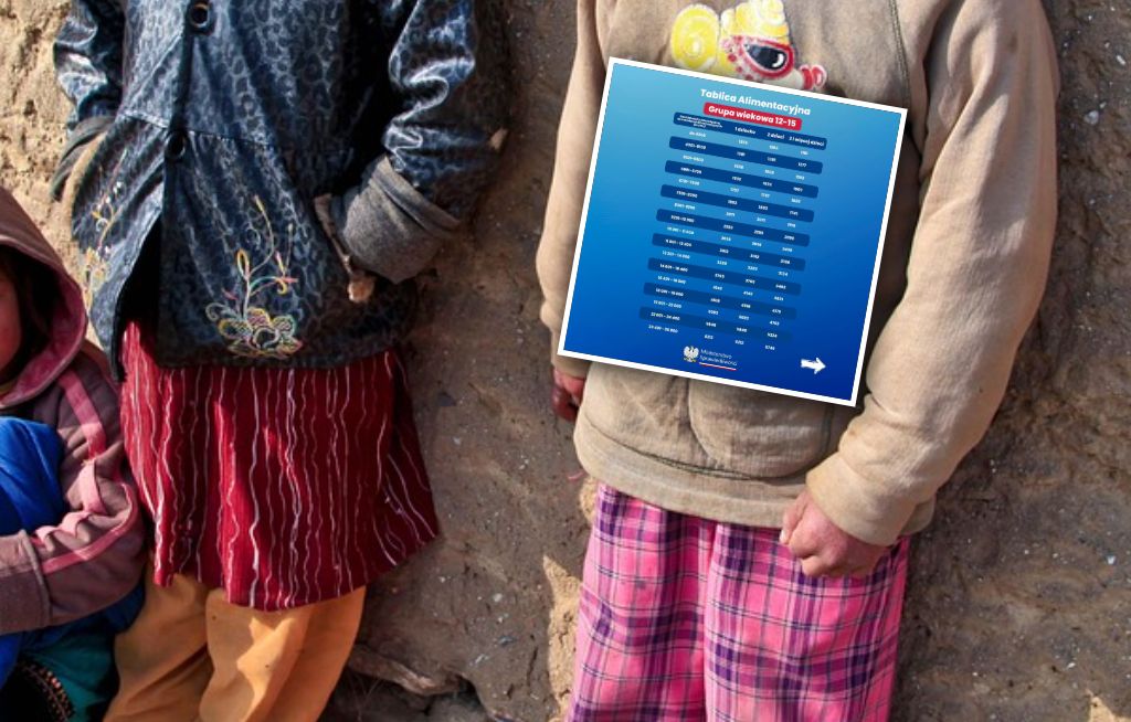 Tabele alimentacyjne w innych krajach. Ile płacą Niemcy i Francuzi?