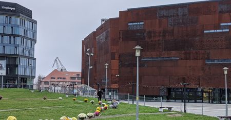 Gdańsk. Mieszkańcy utworzyli serce z kwiatów