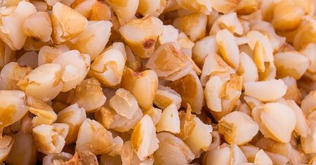 Niski indeks glikemiczny i delikatny smak. Pomijana kasza, po którą warto sięgać dla zdrowia