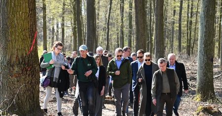 Świdniczanie walczą o las społeczny. Rejkowizna względnie bezpieczna. Wstrzymano wycinkę do czasu wypracowania nowych rozwiązań