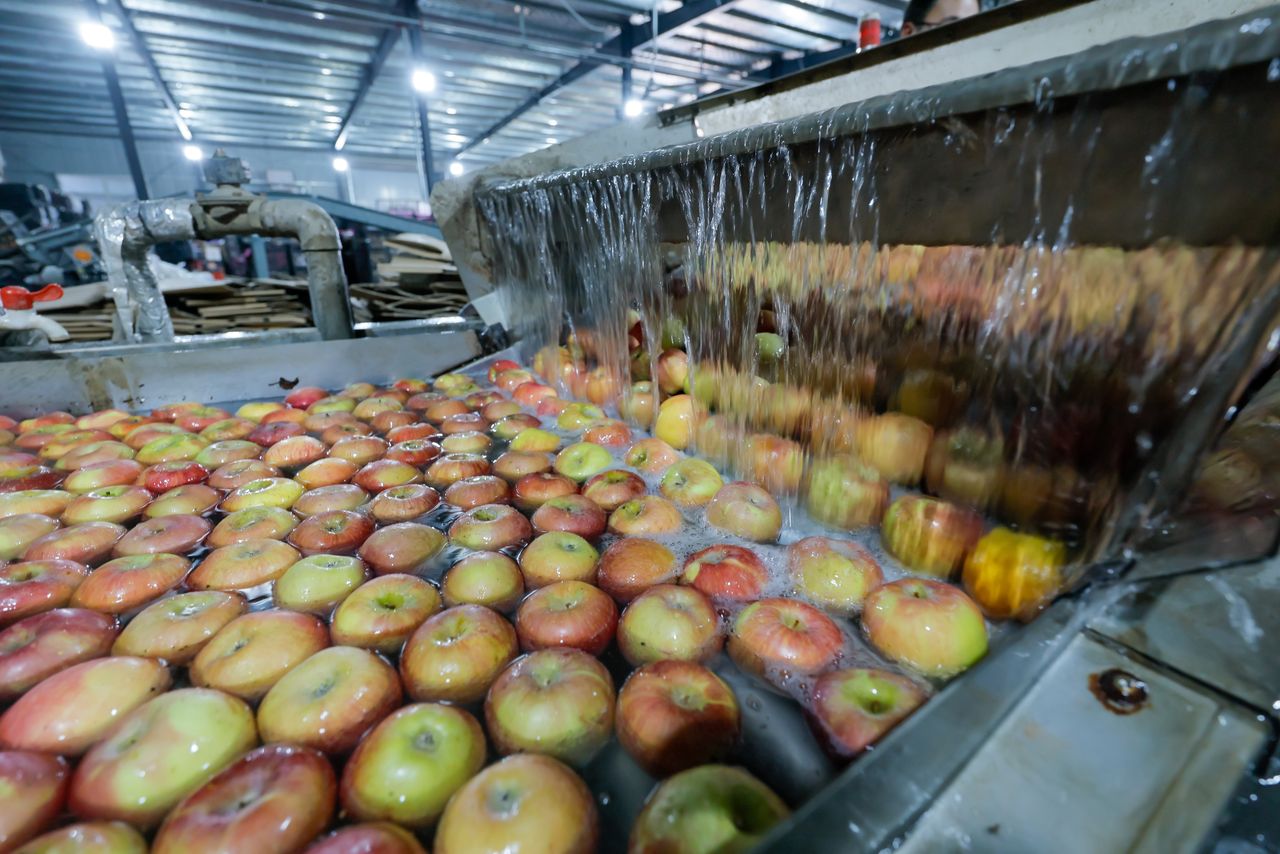 Wielka przetwórnia upadła. Przynosi zyski, ma gigantyczne długi