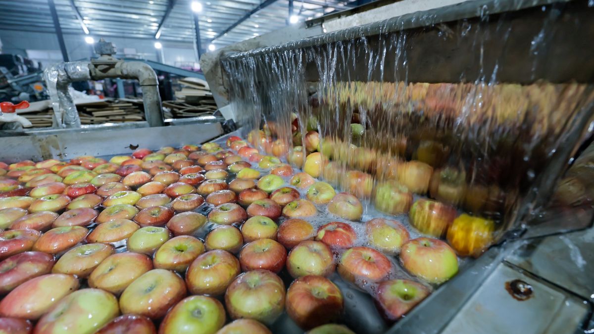 Wielka przetwórnia upadła. Przynosi zyski, ma gigantyczne długi (zdj. ilustracyjne)