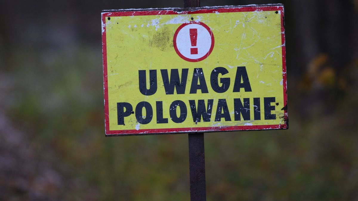 Mieszkańcy i turyści alarmują, że spotykają w lasach myśliwych