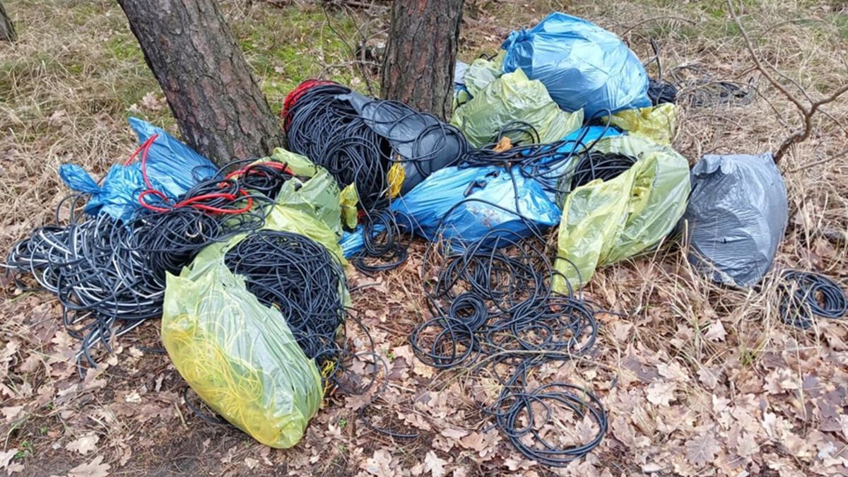 Leśnicy pokazują, co znaleźli w lesie