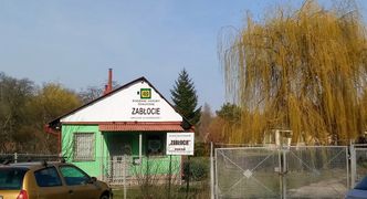 Fiskus darował działkowcom podatek. Jest oficjalne stanowisko