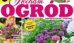 Magazyn „Kocham Ogród” z nowym layoutem