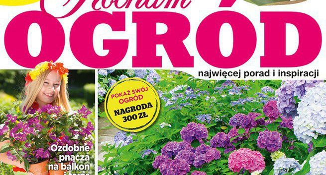 Magazyn „Kocham Ogród” z nowym layoutem