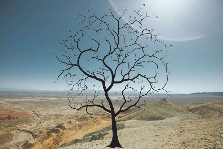 Szybki test. W 30 sekund oceni twoja spostrzegawczość