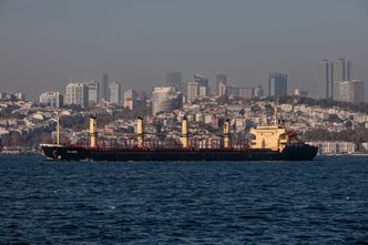 Tak Rosja kradła ukraińskie zboże. Wywiozła 6 mln ton wartych miliard dolarów