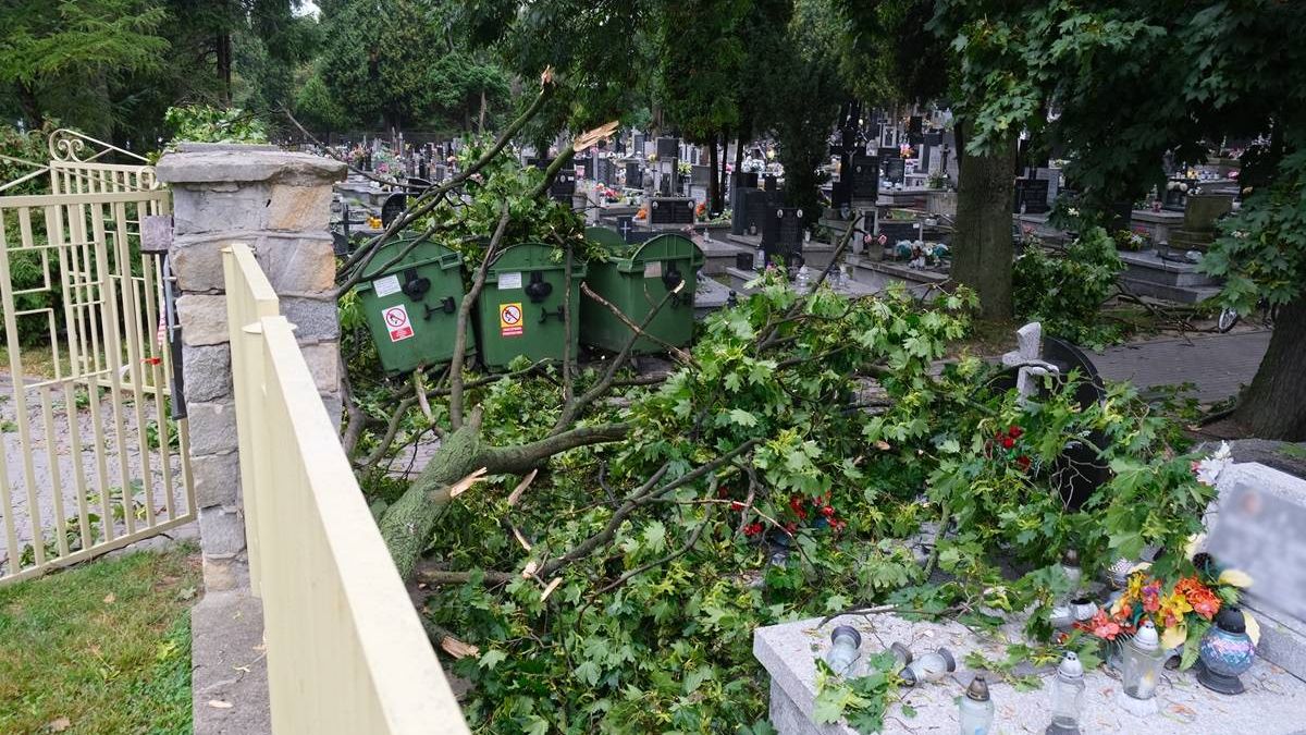 Konar uszkodził pomniki na cmentarzu przy ul. Unickiej w Lublinie