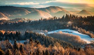 Darmowa reklama dla Polski. "W Europie tego nie ma"