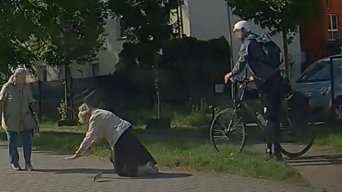 Rowerzysta wjechał w kobietę. Rodzina szuka sprawcy