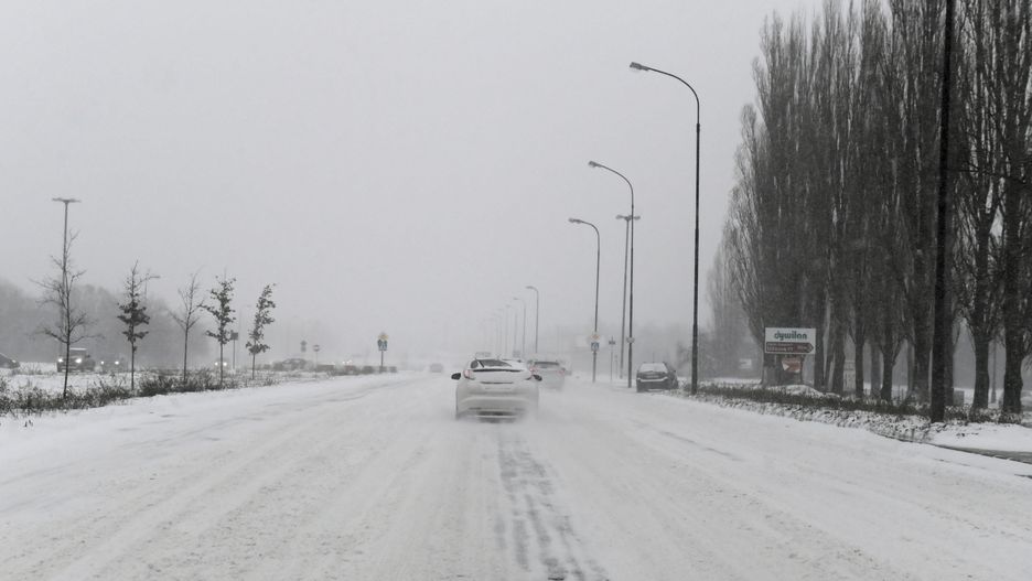 Pogoda. Wrocław. 9 lutego 2021 - mrozów ciąg dalszy. Opady śniegu mniejsze od zapowiadanych