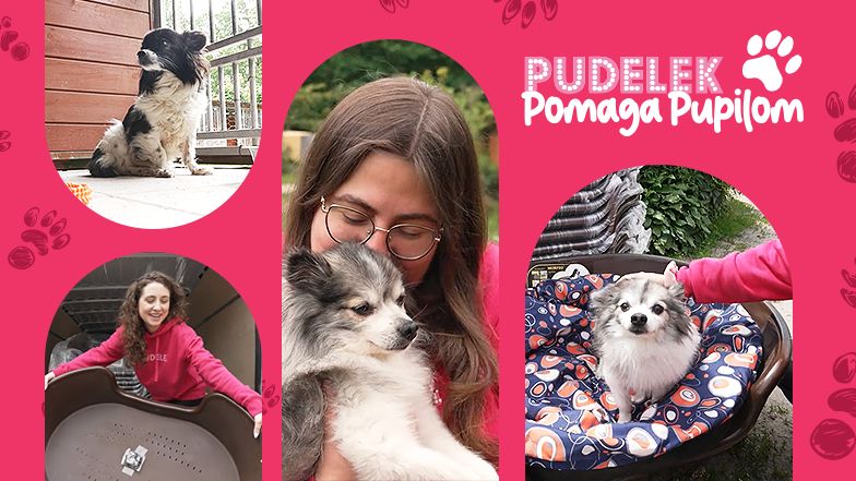 Pudelek Pomaga Pupilom
