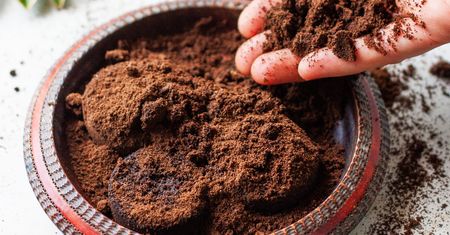 Większość pozbywa się niczym odpadków. Duże marnotrawstwo, bo przedłuża życie lodówki