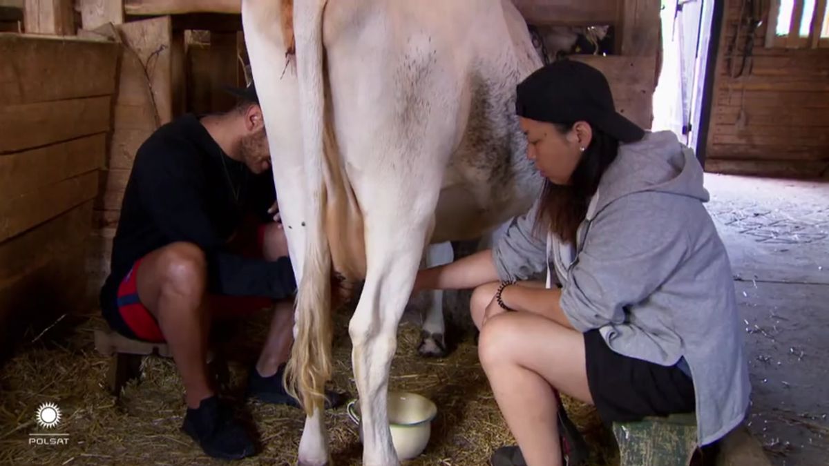 "Farma" została wyemitowana już w 20 krajach