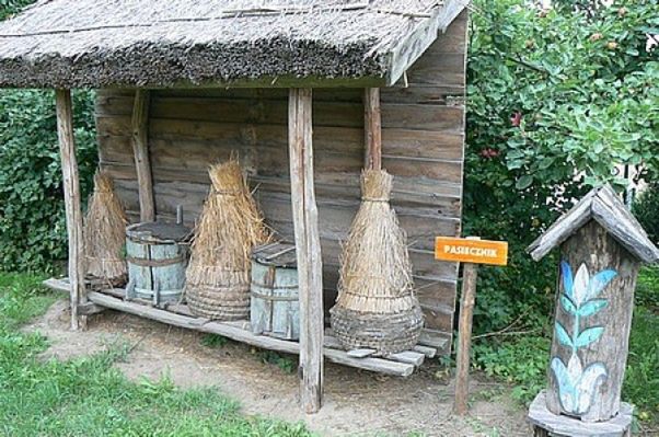 Obraz