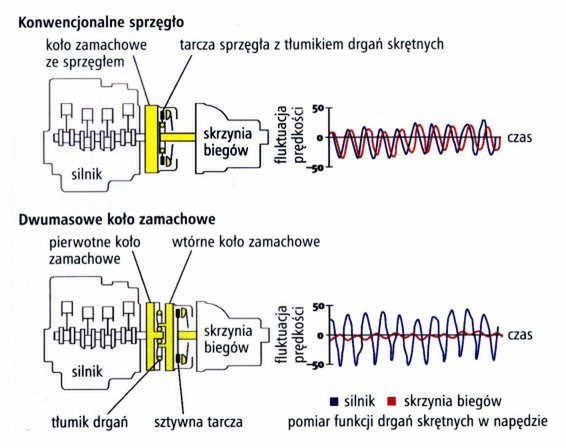 Zdjęcie ilustracyjne do artykułu