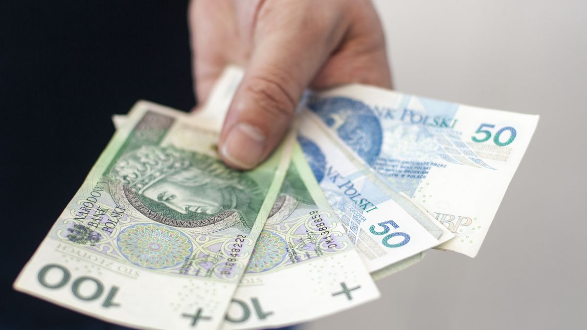Close-up of hand showing Polish banknotesClose-up of hand showing Polish banknotesJuana Mari Moya